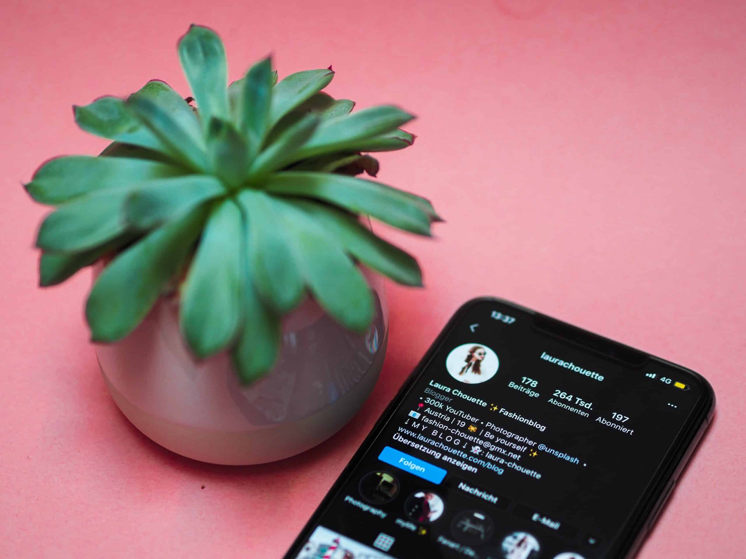 Influencer’s Guide: Social Media Marketing