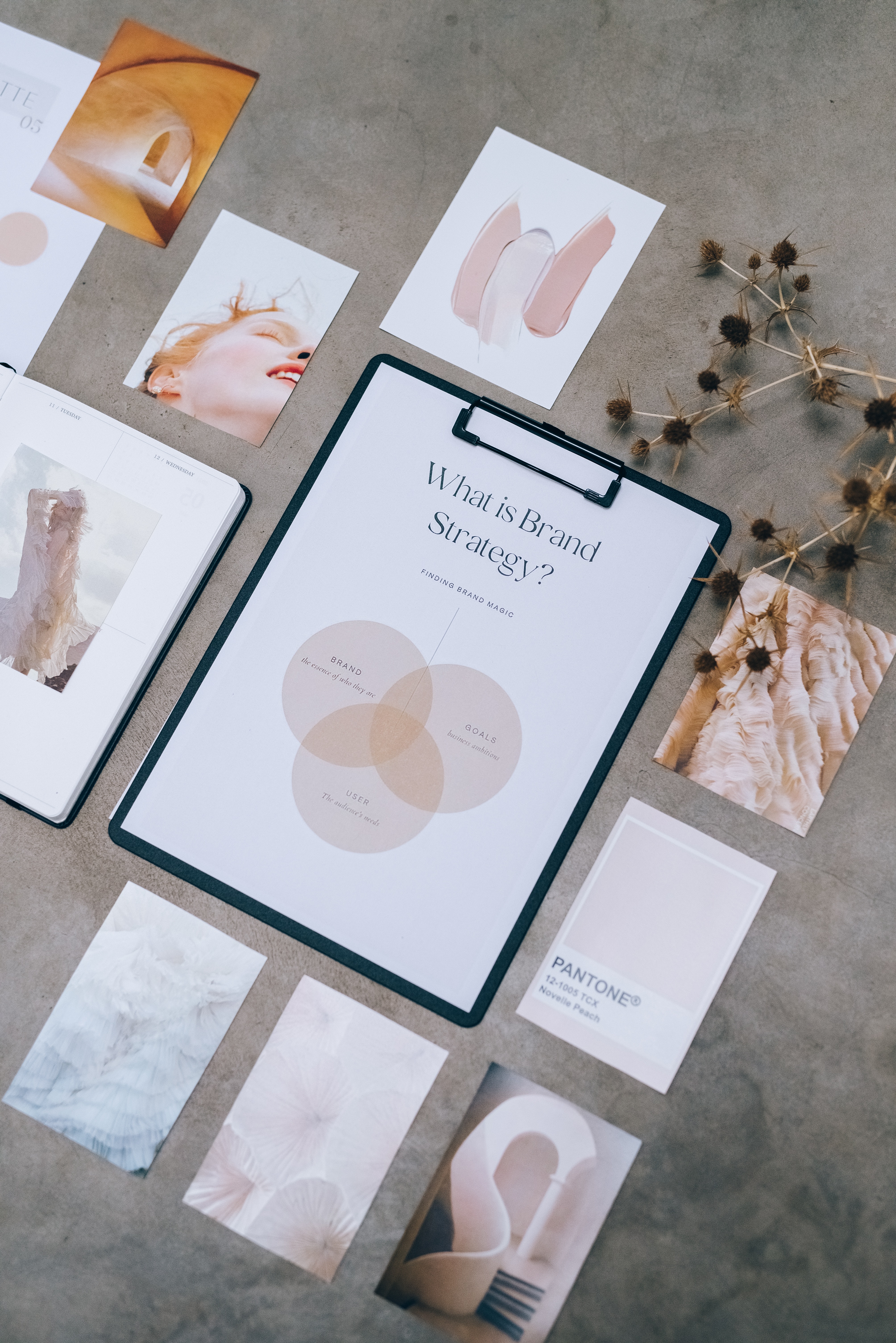 5 Must-Haves in a Cohesive Startup Branding Guide